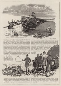 Jagten på den vilde kronhjort på Exmoor